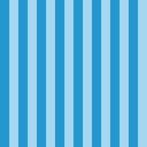 workout light blue stripe one inch