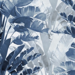 Exotic Banana Palm Leaves in Blue and White Colors