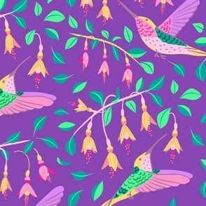 Hummingbirds amidst lush fuchsia blooms_hero_purple