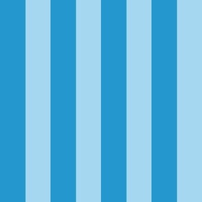 workout light blue stripe