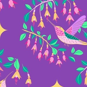Hummingbirds amidst lush fuchsia blooms_filler_purple
