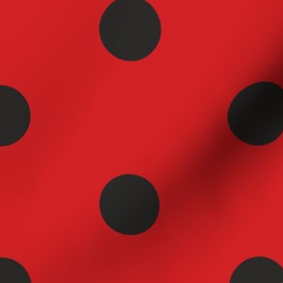 455. lady bird black dots on red background regular distributed