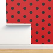 455. lady bird black dots on red background regular distributed