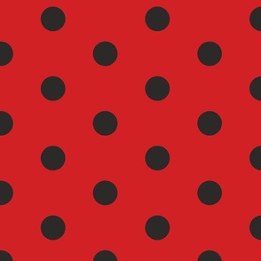 455. lady bird black dots on red background regular distributed