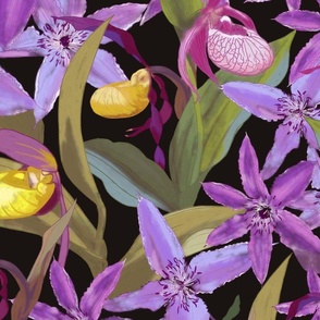  Orchids and clematis on black