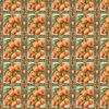 Peaches_ripe_and_ready_1