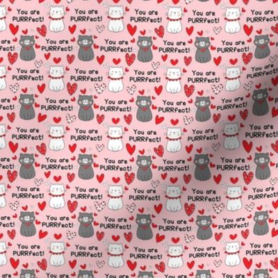 Small Scale You Are Purrfect Valentine Cats on Pink