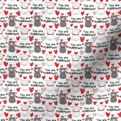 Small Scale You Are Purrfect Valentine Cats on White