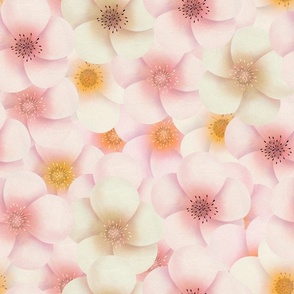 light pink and peach dreamy watercolor blossoms