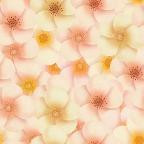 light peach and yellow dreamy watercolor blossoms