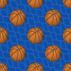 Large Scale Team Spirit Basketball in Philadelphia 76ers Blue