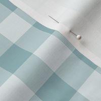 1" Gingham Check (buxton blue) In My Wildest Dreams coordinate