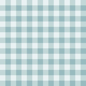 1/2” Gingham Check (buxton blue) In My Wildest Dreams coordinate