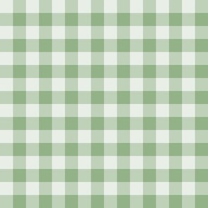 1/2” Gingham Check (green mist) In My Wildest Dreams coordinate