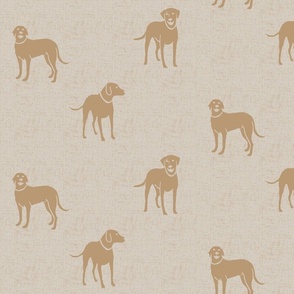Happy Labradaors in Modern Gray and Woven Wicker (Taupe & Coffee)