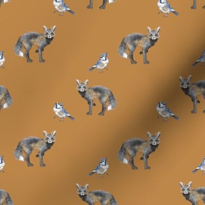 Prince Edward Island Silver Foxes & Blue Jays on Tan
