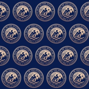 New Minnesota Seal with Gold and Blue