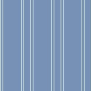 Aqua and White Stripes on Faded Denim - Created for the Coffee in the Park with Dogs Collection