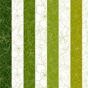 Hoya | Stripes, Green Envy, Medium