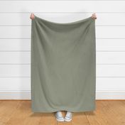 Lichen Green solid (#979B87) - mid green, artichoke green, grey-green, muted green, earthy green, sage green - Coastal Chic collection solid