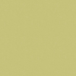 Dill Green textured solid (#C6C17A) - pastel lime, yellow green, light citron, muted green, earthy green, avocado green - Coastal Chic collection solid, blender
