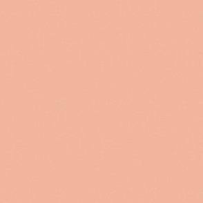 Pastel Salmon textured solid (#EFB798) - pastel orange, peach, light salmon, light orange-pink - Coastal Chic collection Solid, blender