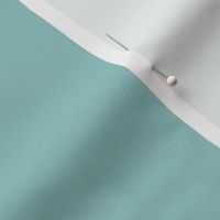 Opal Green textured solid (#94C4C3) - light teal green, aquamarine, turquoise, pastel teal, soft teal - Coastal Chic collection Solid, blender