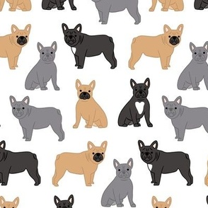 french bulldogs various colors