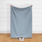 Blue Gray solid (#A7B9C6) - nautical blue, dusty blue, grey blue, cadet blue, light vintage blue - Coastal Chic collection Solid