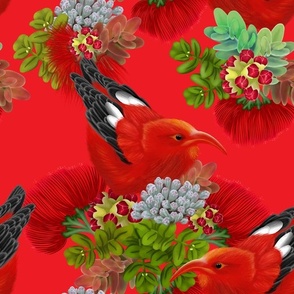 Iʻiwi Bird | Red 