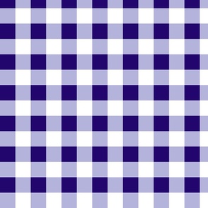 1xSmall Scale - Non-Directional - Plain Gingham - Dark Purple - Light Purple - White