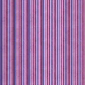 Dragon fire stripe coordinate pink & purple extra small