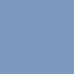7E98BE Solid Color Map Gray Sky Blue
