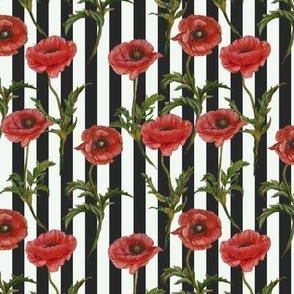 Poppies & Stripes, L