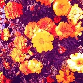 Spring Florals- Orange-Purple
