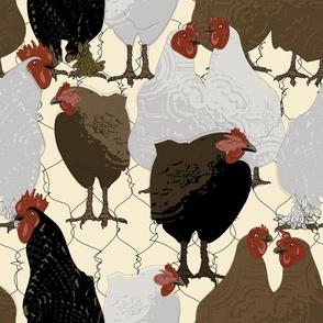 chickens neutral and red