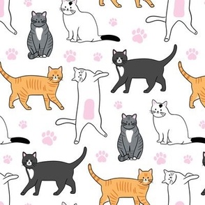 Cats Orange, Tabby, Tuxedo, White, Pink Pawprints