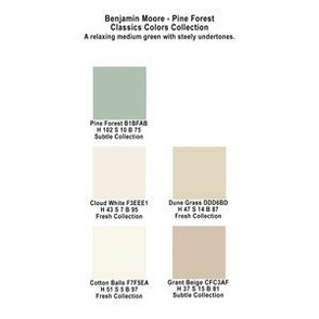 Pine Forest Color Palette Benjamin Moore Classics Collection