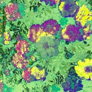 Spring Florals-solarized