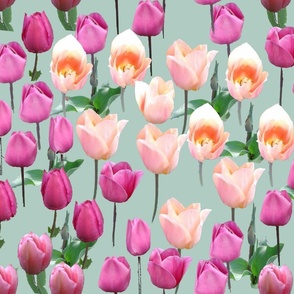 tulips_on_mint 2 