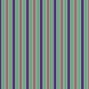 multicolor stripe