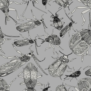 gray and black beetle pattern