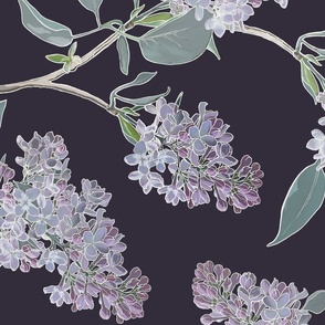 Trailing Lilacs on Dark Plum -  extra large scale
