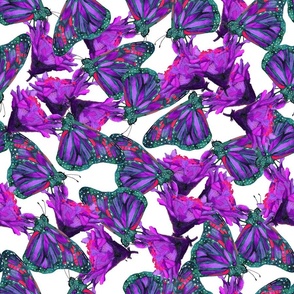 Butterfly- Teal & Purple