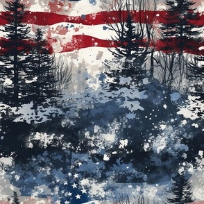 American Flag in Winter