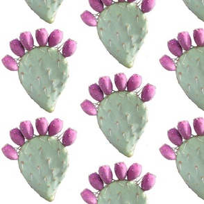 Prickly Pear with Berrys - white