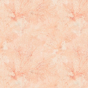 fan coral peach fuzz and beige palette 12 inch