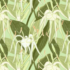 beach spider lily flowers // Welcoming Walls Pattern