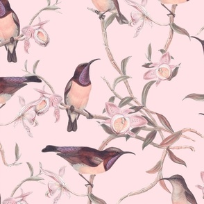 Hummingbirds Chinoiserie Pastel Pink Large Scale