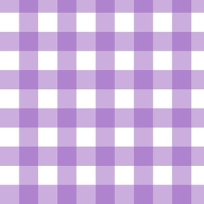 3/4” Purple Gingham Check /  Unicorn Dance coordinate
